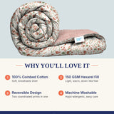 Hexarel&reg; Fill