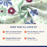 Soft & Familiar