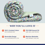Hexarel&reg; Fill